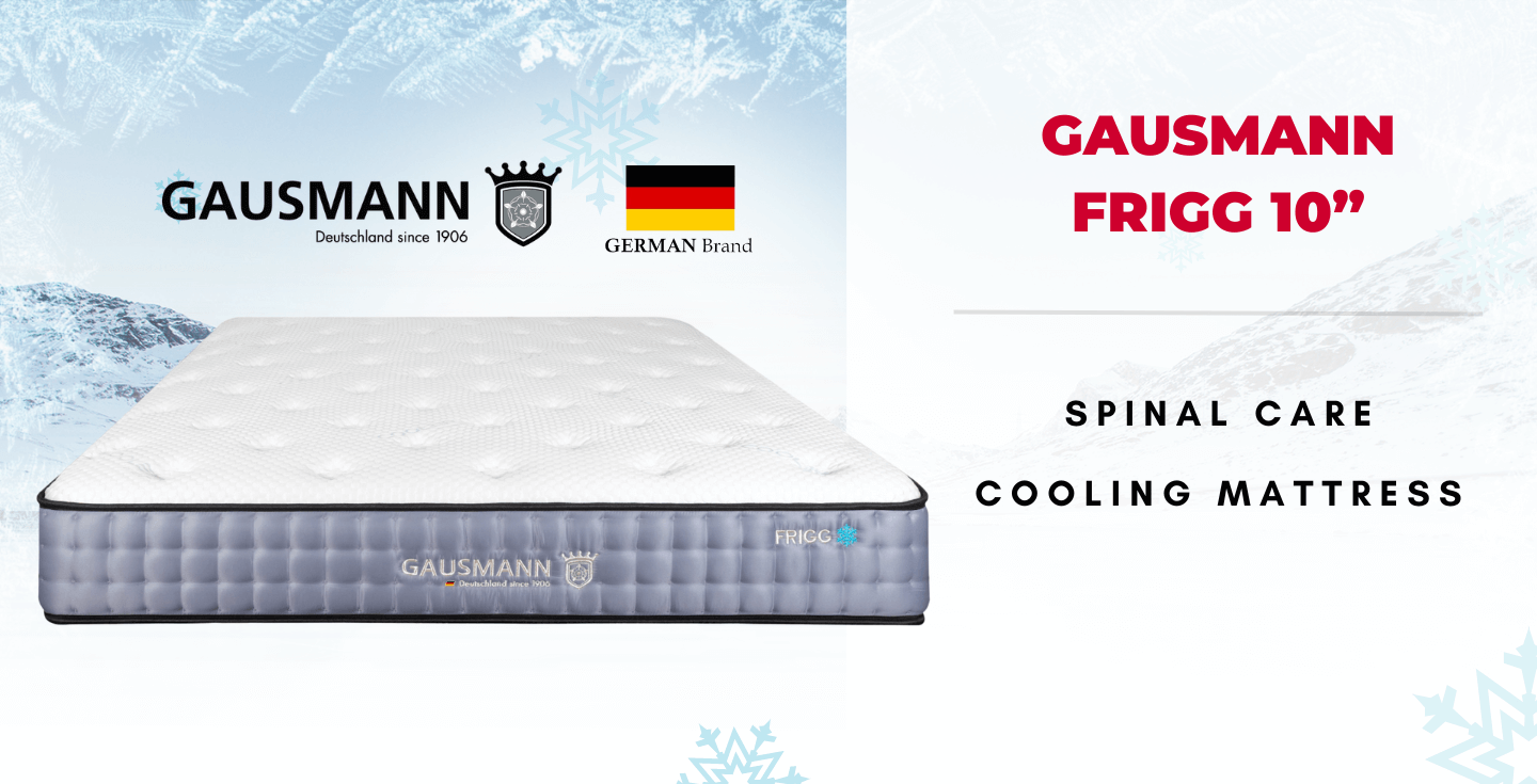 Gausmann Frigg 10”
